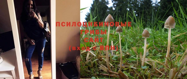 гашиш Абаза