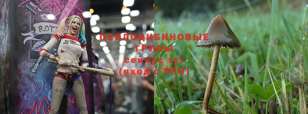 молекула духа Абдулино