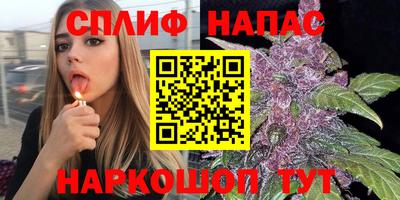 сатива Ярцево