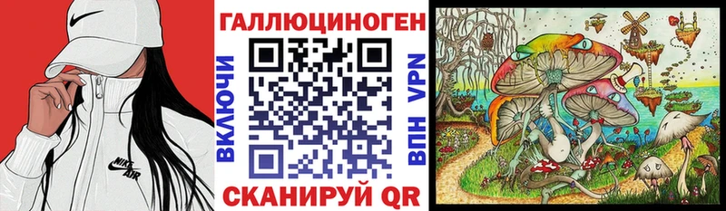 Псилоцибиновые грибы мицелий  продажа наркотиков  Алатырь 