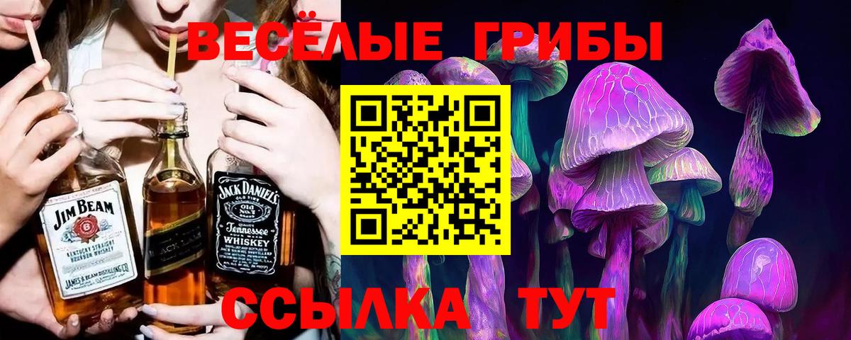 Псилоцибиновые грибы мухоморы Алатырь