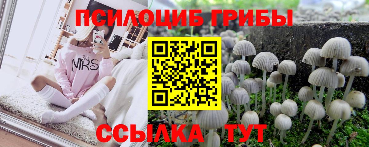 Галлюциногенные грибы MAGIC MUSHROOMS  Галлюциногенные грибы Psilocybe  Вход с VPN  Алатырь 