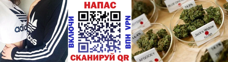 Бошки Шишки THC 21%  сайты даркнета как зайти  Алатырь  ОМГ ОМГ ссылка 